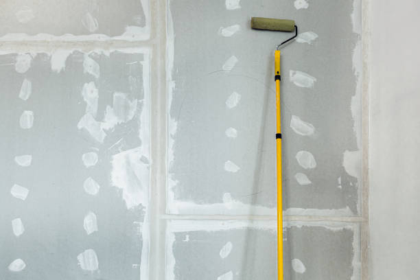 Best Mold Removal for HVAC Installations  in Abbotsford, WI