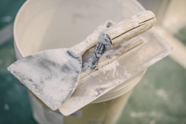 Best Asbestos and Lead Testing During Mold Inspection  in Abbotsford, WI